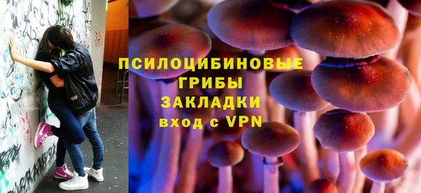 МДПВ Алексин