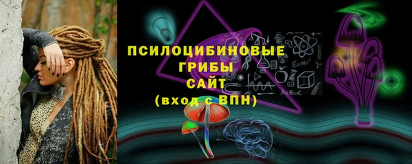 молекула духа Алзамай