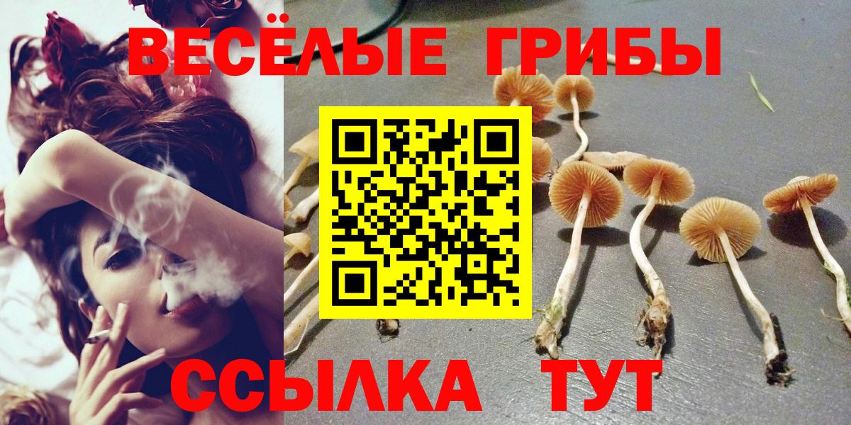 Псилоцибиновые грибы Cubensis  дарнет шоп  Бахчисарай  Вход с VPN 